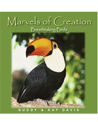 Marvels of Creation: Breathtaking Birds