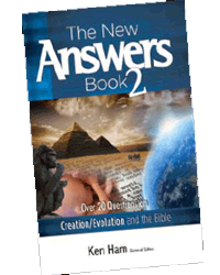New Answers Book 2, The