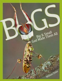 Bugs: Big & Small God Made Them All