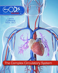 Complex Circulatory System The